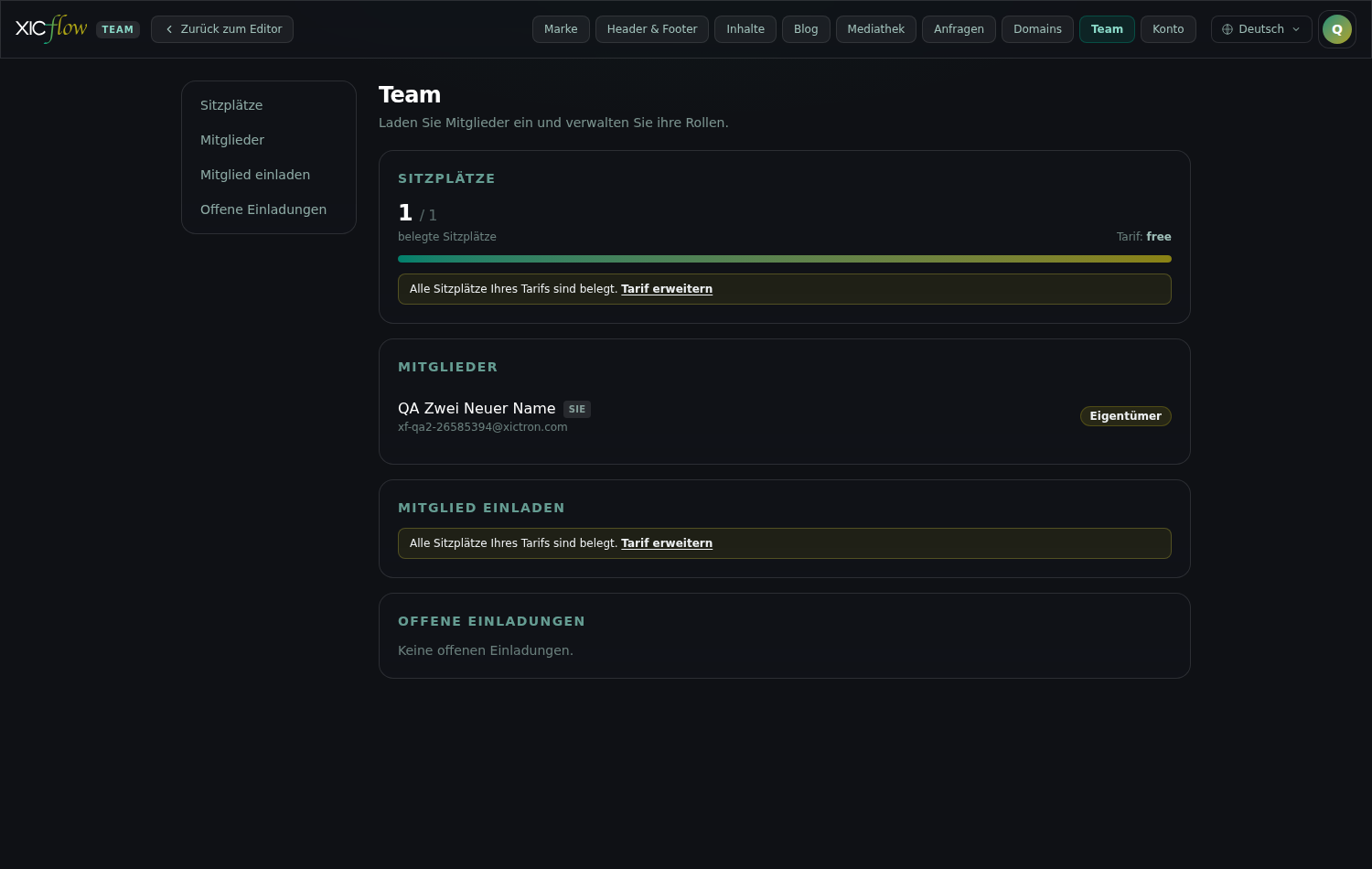 The team area showing occupied seats and the member list including roles.